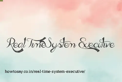 Real Time System Executive