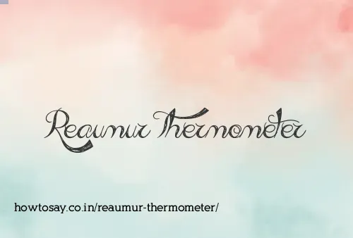 Reaumur Thermometer