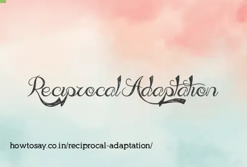 Reciprocal Adaptation