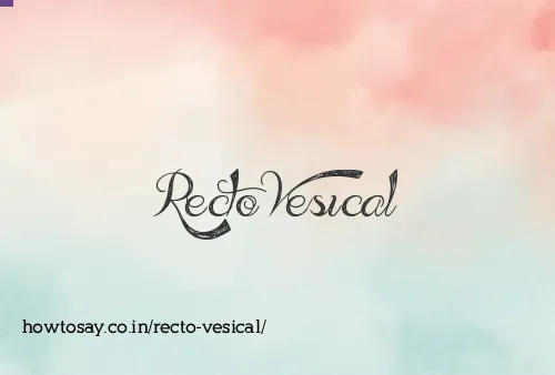 Recto Vesical