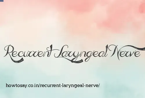 Recurrent Laryngeal Nerve