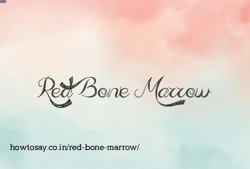 Red Bone Marrow