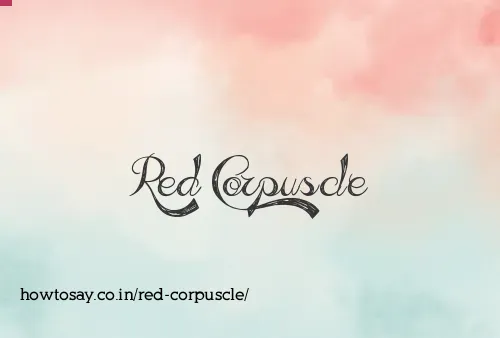 Red Corpuscle