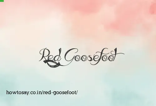 Red Goosefoot