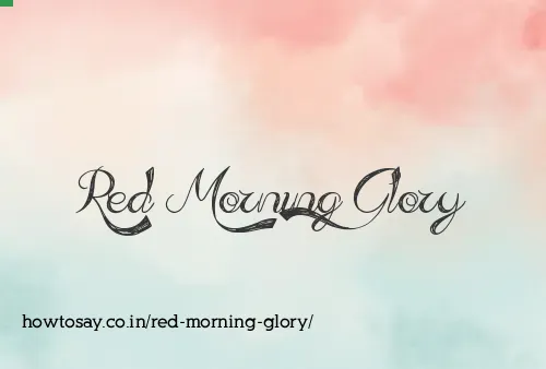 Red Morning Glory