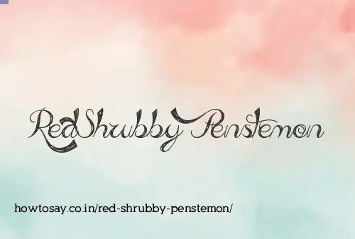 Red Shrubby Penstemon