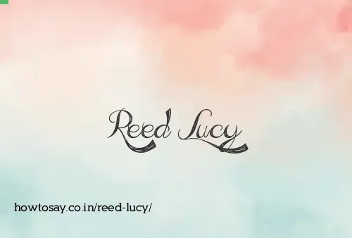 Reed Lucy