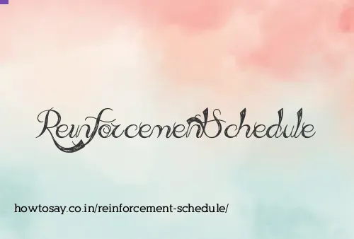 Reinforcement Schedule
