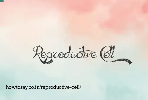 Reproductive Cell