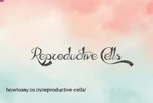 Reproductive Cells