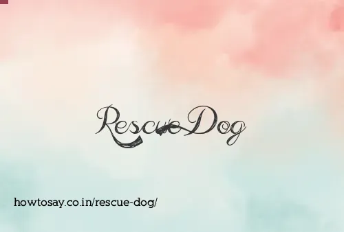 Rescue Dog