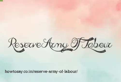 Reserve Army Of Labour