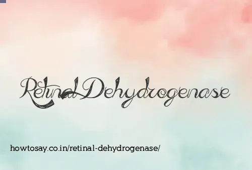 Retinal Dehydrogenase