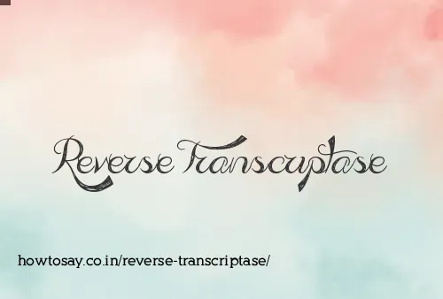 Reverse Transcriptase