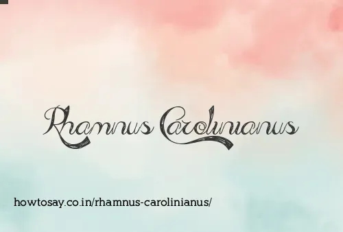 Rhamnus Carolinianus