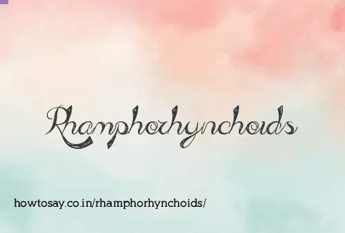 Rhamphorhynchoids