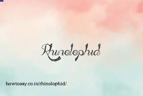 Rhinolophid