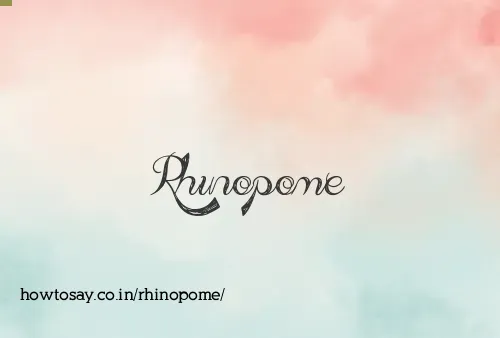 Rhinopome