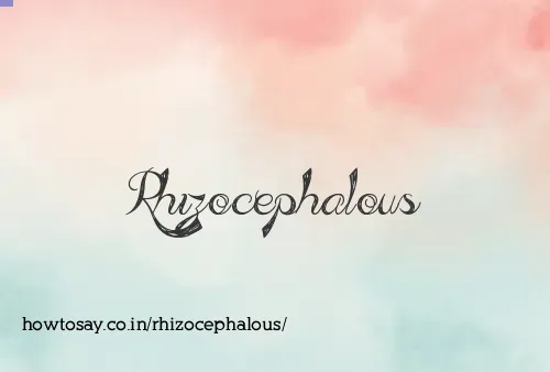 Rhizocephalous