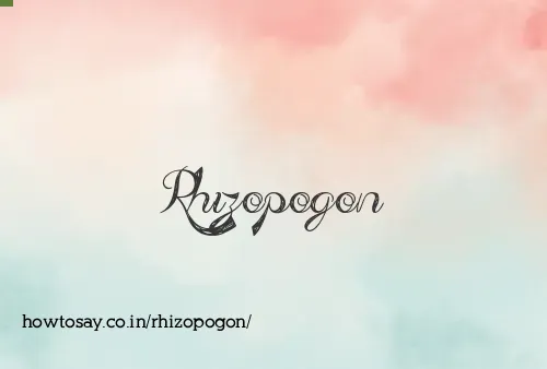 Rhizopogon