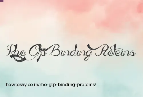 Rho Gtp Binding Proteins