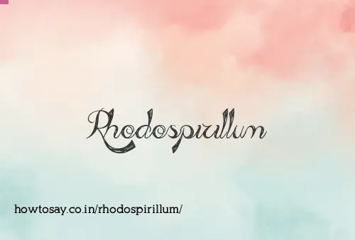 Rhodospirillum