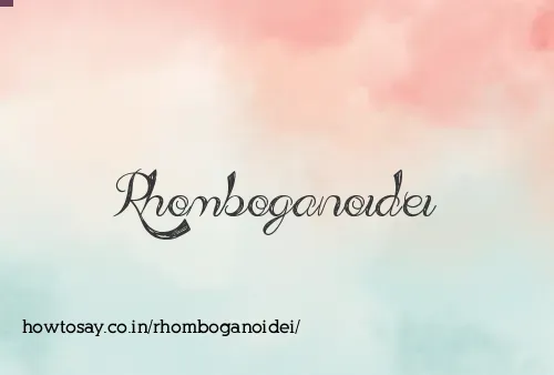 Rhomboganoidei