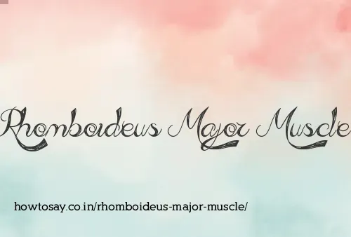 Rhomboideus Major Muscle