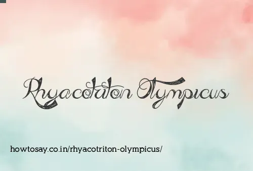 Rhyacotriton Olympicus