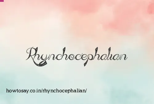 Rhynchocephalian