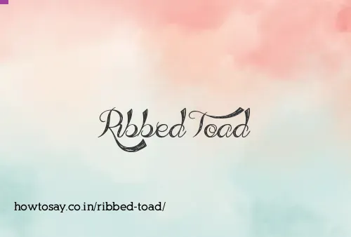 Ribbed Toad