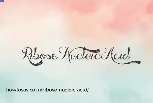 Ribose Nucleic Acid
