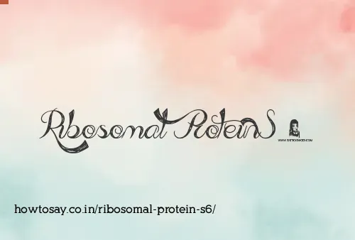 Ribosomal Protein S6