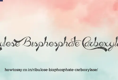 Ribulose Bisphosphate Carboxylase