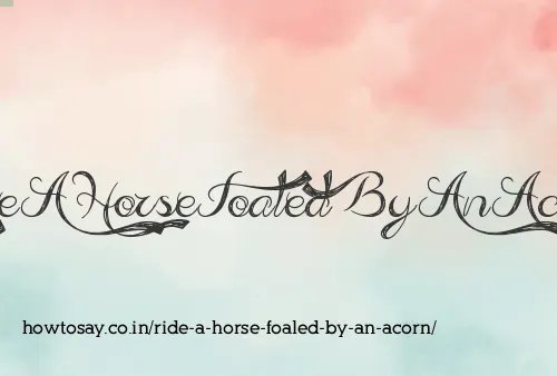 Ride A Horse Foaled By An Acorn