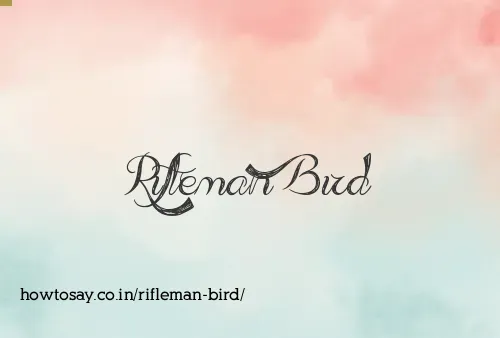 Rifleman Bird
