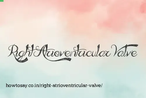 Right Atrioventricular Valve