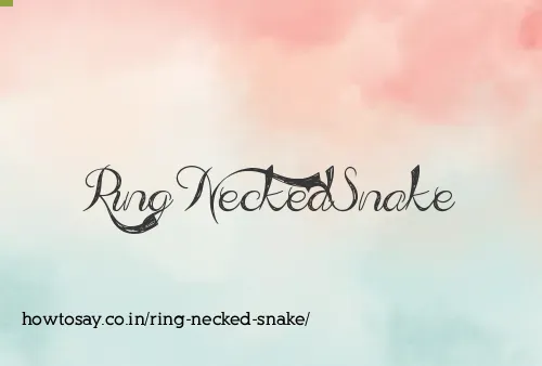 Ring Necked Snake