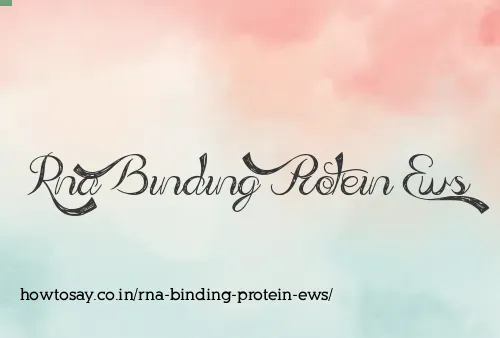 Rna Binding Protein Ews