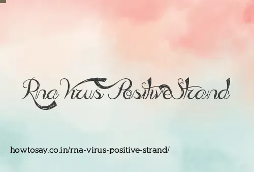 Rna Virus Positive Strand