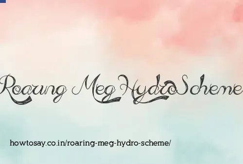 Roaring Meg Hydro Scheme