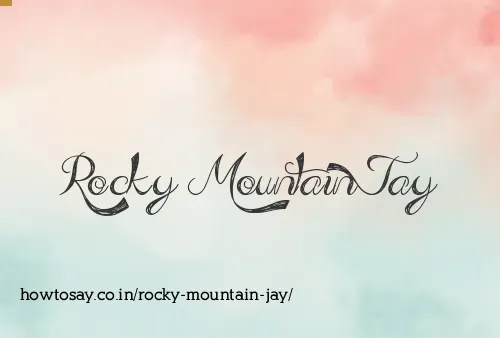 Rocky Mountain Jay