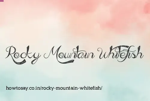 Rocky Mountain Whitefish