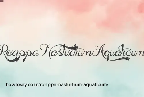 Rorippa Nasturtium Aquaticum