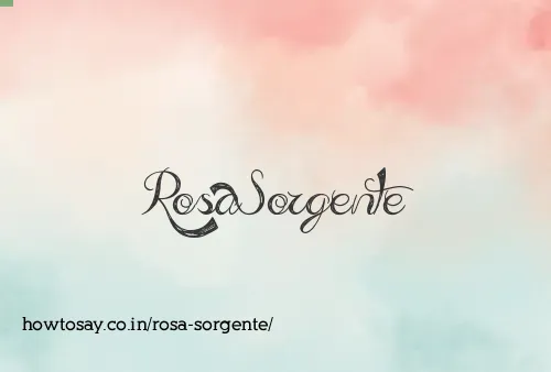 Rosa Sorgente