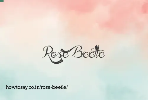 Rose Beetle