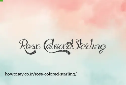 Rose Colored Starling