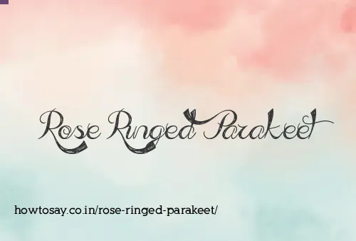 Rose Ringed Parakeet