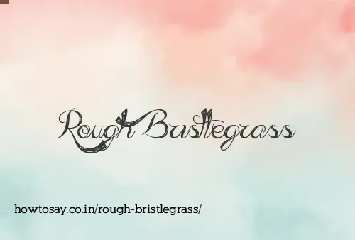 Rough Bristlegrass