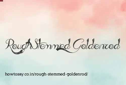 Rough Stemmed Goldenrod